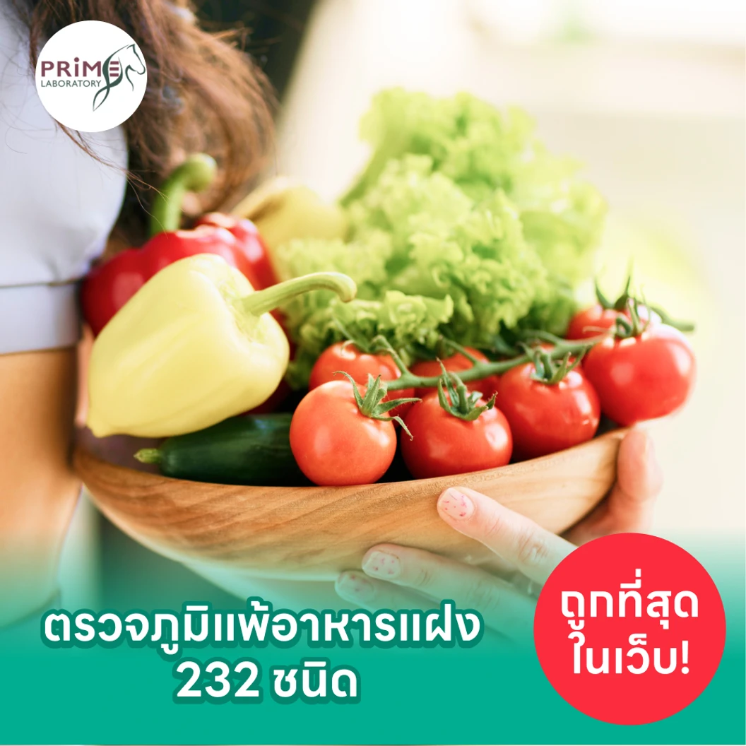 โปรแกรมตรวจภูมิแพ้อาหารแฝง (IgG) 232 ชนิด ด้วยวิธีเจาะเลือด