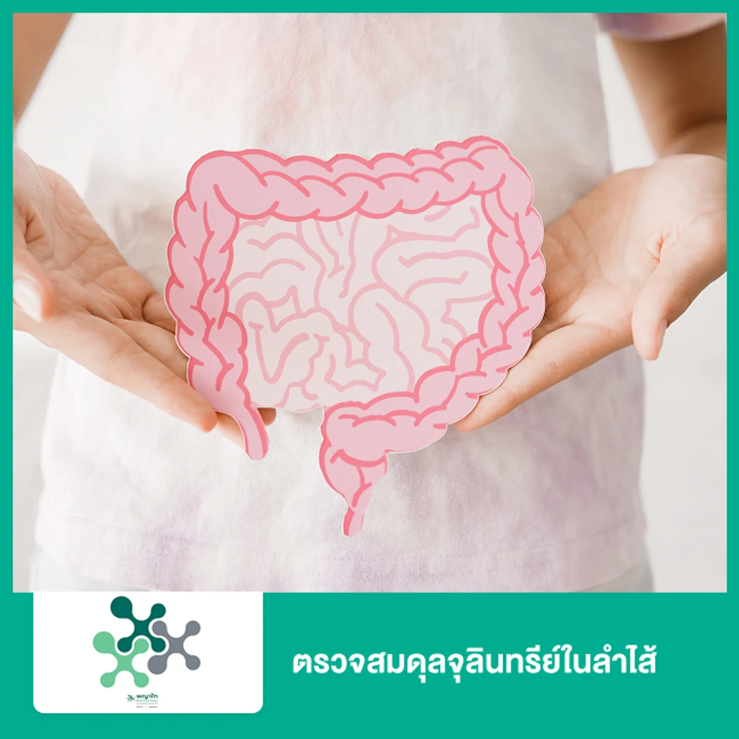 ตรวจสมดุลจุลินทรีย์ในลำไส้ Gut Microbiome (Modgut) Total Health (ตรวจอุจจาระ)