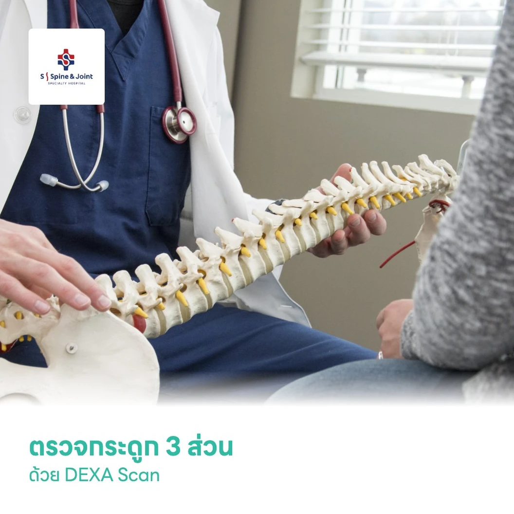 ตรวจมวลกระดูกเพื่อคัดกรองภาวะกระดูกพรุน 3 ส่วน ด้วย DEXA Scan