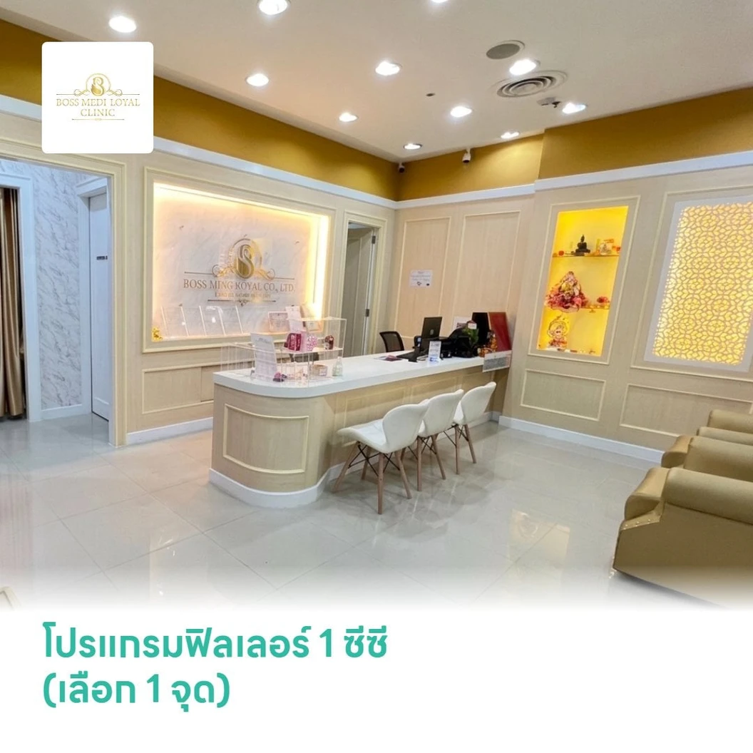 โปรแกรมฟิลเลอร์ 1 ซีซี (เลือก 1 จุด)