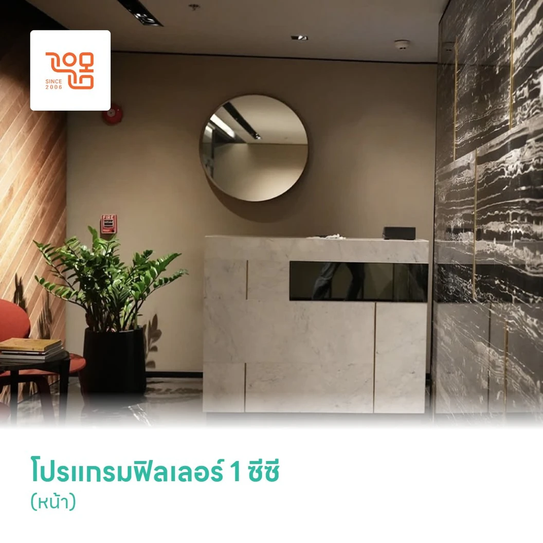 โปรแกรมฟิลเลอร์ 1 ซีซี (หน้า)