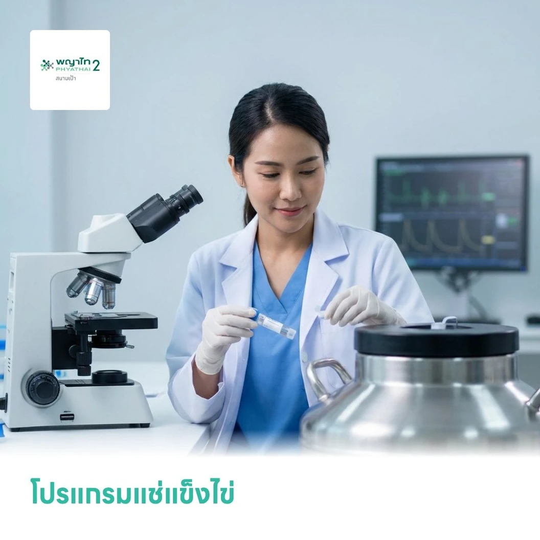 โปรแกรมแช่แข็งไข่