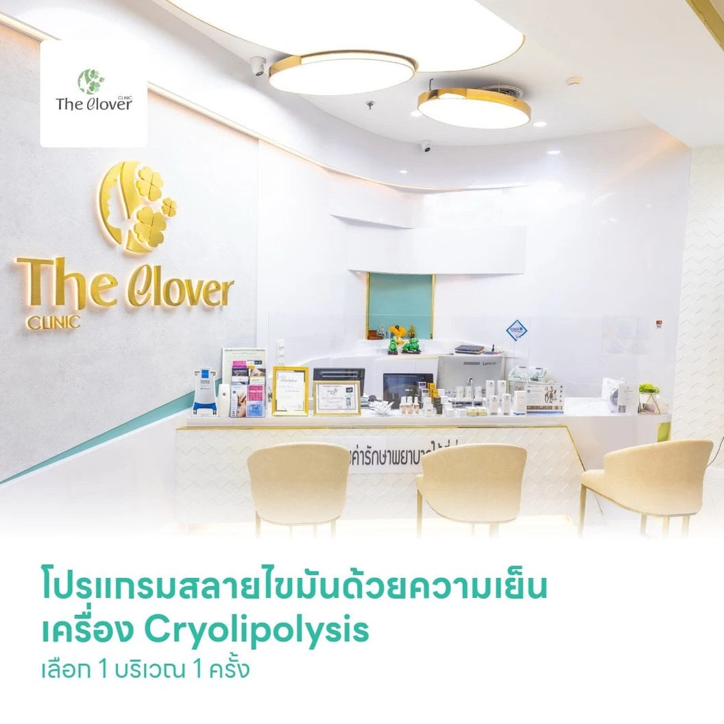 โปรแกรมสลายไขมันด้วยความเย็น เครื่อง Cryolipolysis เลือก 1 บริเวณ หน้าท้อง เอว บั้นท้าย แขน และขา 1 ข้าง 1 ครั้ง