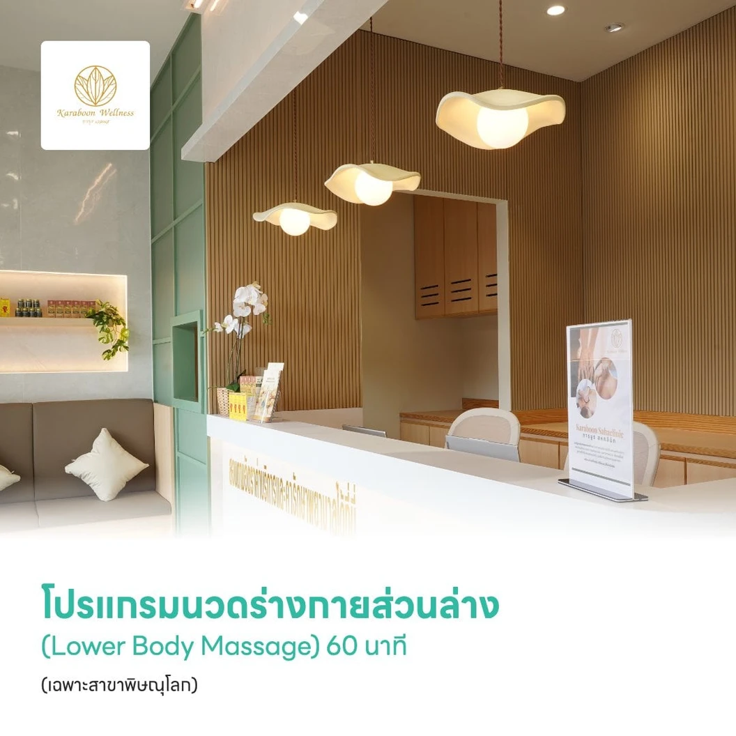 โปรแกรมนวดร่างกายส่วนล่าง (Lower Body Massage) 60 นาที (เฉพาะสาขาพิษณุโลก)