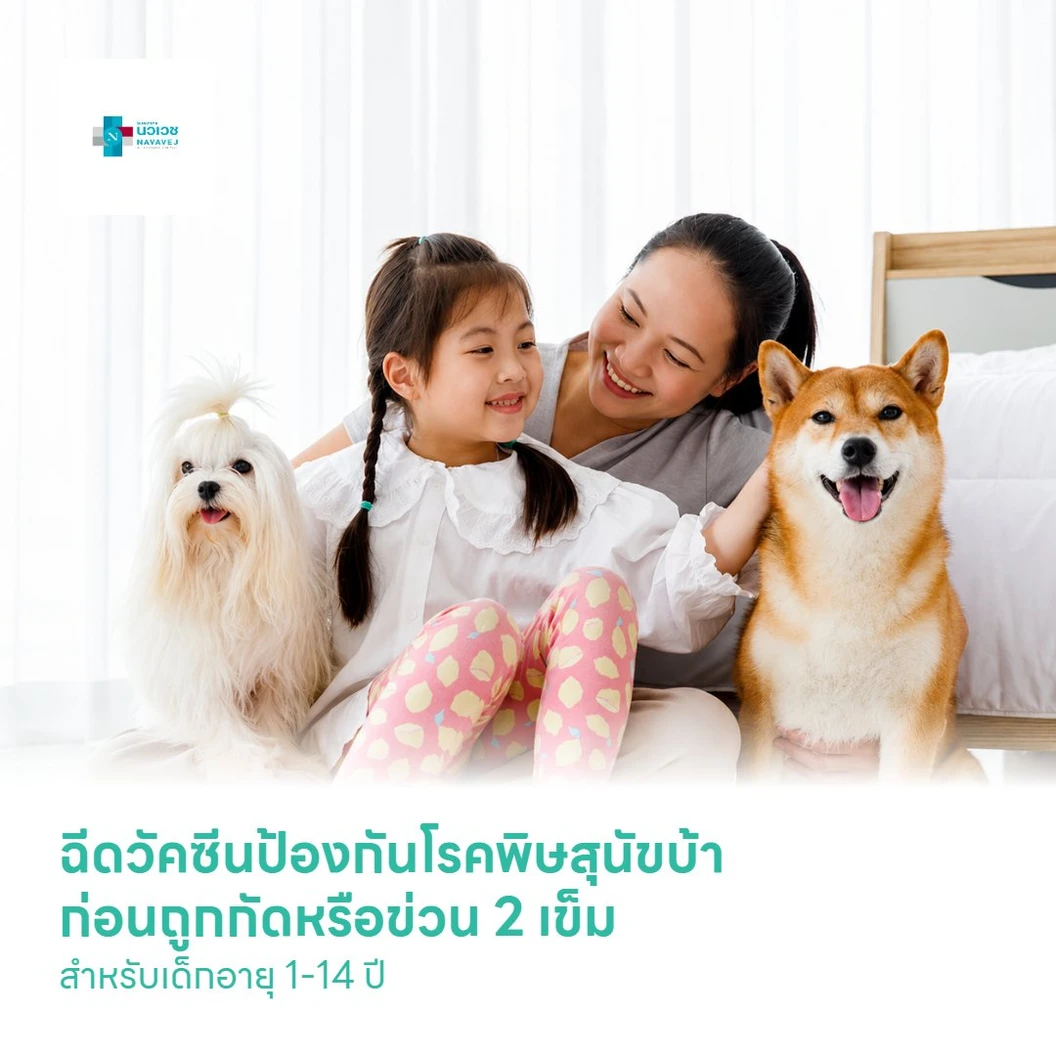 ฉีดวัคซีนป้องกันโรคพิษสุนัขบ้า ก่อนถูกกัดหรือข่วน 2 เข็ม สำหรับเด็กอายุ 1-14 ปี