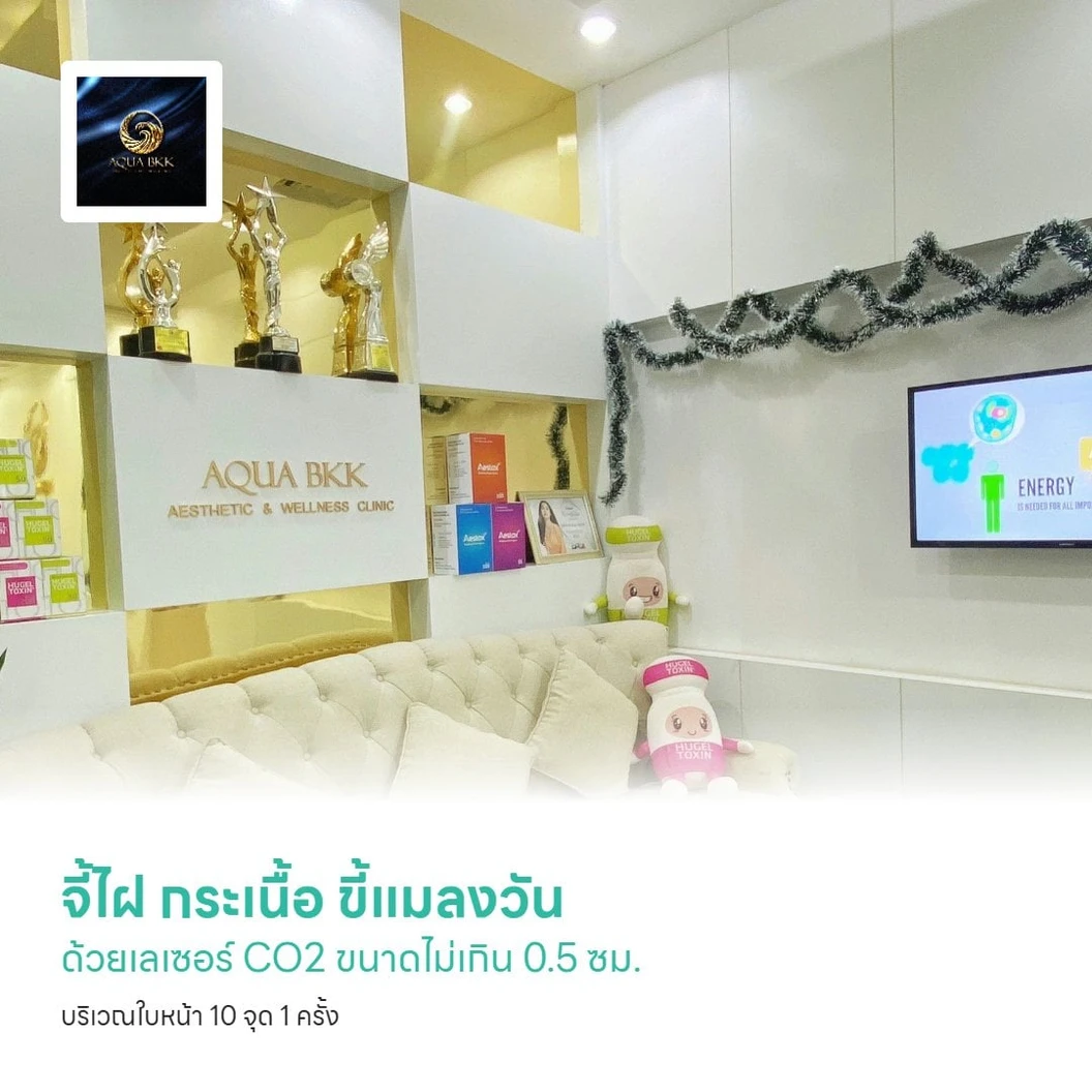 จี้ไฝ กระเนื้อ ขี้แมลงวัน ด้วยเลเซอร์ CO2 ขนาดไม่เกิน 0.5 ซม. บริเวณใบหน้า 10 จุด 1 ครั้ง