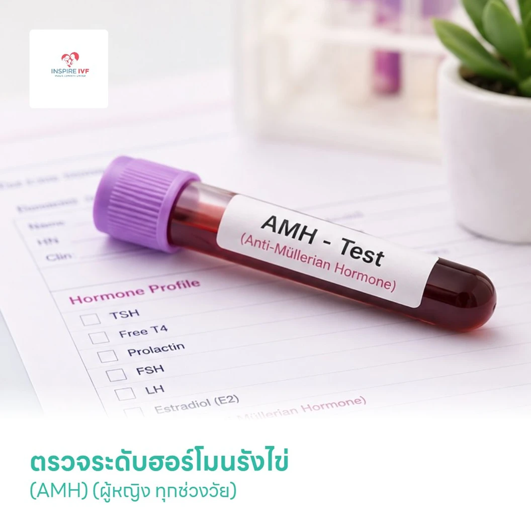 ตรวจระดับฮอร์โมนรังไข่ (AMH) (ผู้หญิง ทุกช่วงวัย)