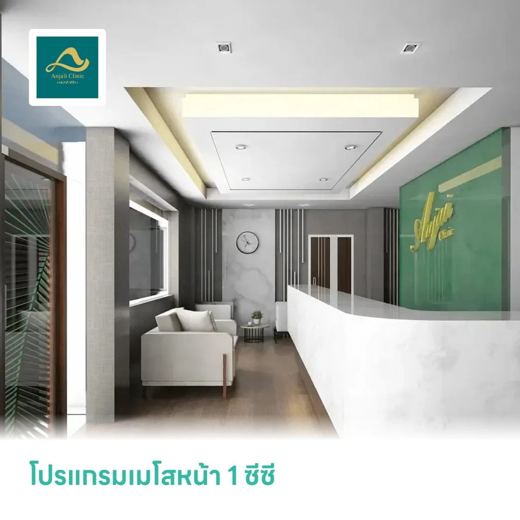 โปรแกรมเมโสหน้า 1 ซีซี