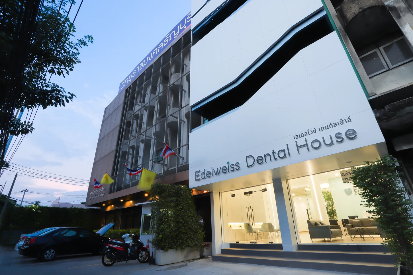 Edelweiss Dental House