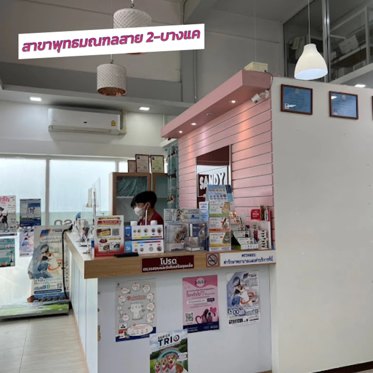 โรงพยาบาลสัตว์แสนดี 24 ชั่วโมง สาขาพุทธมณฑลสาย 2-บางแค