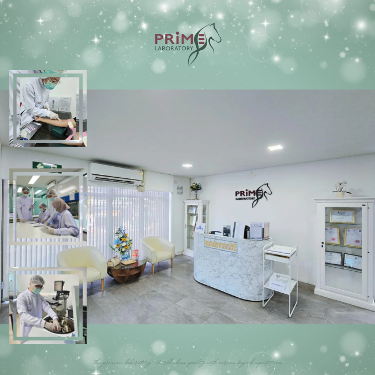 Prime Laboratory Bangkok