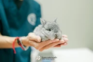 Allpet Animal Hospital photo 0