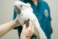 Allpet Animal Hospital photo 1