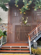 PD Wellness Clinic photo 2