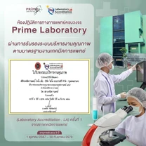 Prime Laboratory Bangkok certificate 0