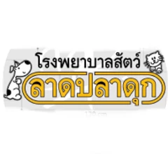 ตรวจหาภาวะโรคไตระยะเริ่มต้น สำหรับแมวทุกขนาด