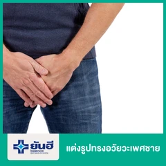 แต่งรูปทรงอวัยวะเพศชาย