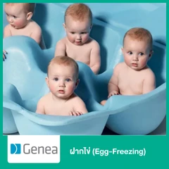 ฝากไข่ (Egg-Freezing)