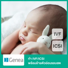 ทำ IVF/ICSI พร้อมย้ายตัวอ่อนรอบสด