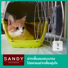 ฝากเลี้ยงแมวแบบกรง 1 คืน โปรแกรมฝากเลี้ยงอุ่นใจ Nose to Tail สำหรับแมวทุกขนาด