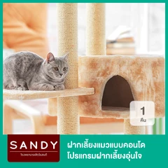 ฝากเลี้ยงแมวแบบคอนโด 1 คืน โปรแกรมฝากเลี้ยงอุ่นใจ Nose to Tail สำหรับแมวทุกขนาด