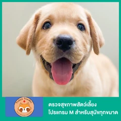 ตรวจสุขภาพสัตว์เลี้ยงโปรแกรม M สำหรับสุนัขทุกขนาด
