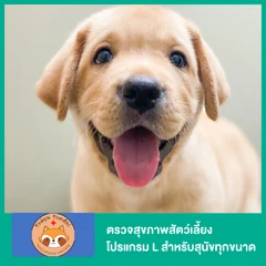 ตรวจสุขภาพสัตว์เลี้ยง โปรแกรม L สำหรับสุนัขทุกขนาด