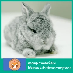 ตรวจสุขภาพสัตว์เลี้ยง โปรแกรม L สำหรับกระต่ายทุกขนาด