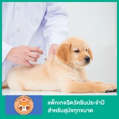 แพ็กเกจฉีดวัคซีนประจำปี สำหรับสุนัขทุกขนาด