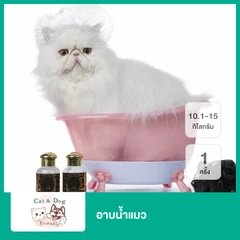 อาบน้ำแมว น้ำหนัก 10.1-15 กก. 1 ครั้ง