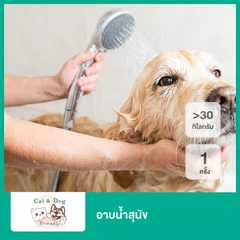 อาบน้ำสุนัข น้ำหนักมากกว่า 30 กก. 1 ครั้ง