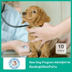 New Dog Program ตรวจสุขภาพต้อนรับสุนัขใหม่เข้าบ้าน 10 รายการ