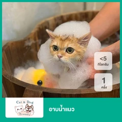 อาบน้ำแมว น้ำหนักไม่เกิน 5 กก. 1 ครั้ง (เฉพาะสัตว์เลี้ยงที่เข้าพักเท่านั้น)