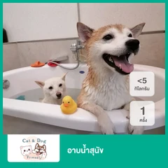 อาบน้ำสุนัข น้ำหนักไม่เกิน 5 กก. 1 ครั้ง (เฉพาะสัตว์เลี้ยงที่เข้าพักเท่านั้น)