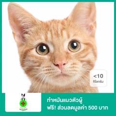 ทำหมันสุนัขตัวผู้ น้ำหนักน้อยกว่า 10 กก. ฟรี! ส่วนลดกรณีต้องการแอดมิตหลังทำหมันมูลค่า 500 บาท