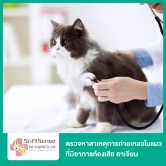 ตรวจหาสาเหตุการถ่ายเหลวในแมว ที่มีอาการท้องเสีย อาเจียน ไม่รับประทานอาหาร ด้วยกล้องจุลทรรศน์ และชุดตรวจเชื้อไวรัสพาร์โว โคโรนา และเชื้อบิด (Fecal cytology, Felid 3 test kit)