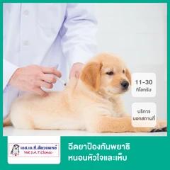 ฉีดยาป้องกันพยาธิหนอนหัวใจและเห็บ สำหรับสุนัขน้ำหนัก 11-30 กก. บริการนอกสถานที่
