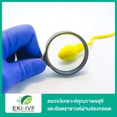 ตรวจวิเคราะห์คุณภาพอสุจิ (Sperm Analysis) และอัลตราซาวด์ผ่านช่องคลอด (TVS) เพื่อตรวจการทำงานของรังไข่และมดลูก สำหรับผู้หญิงและผู้ชาย