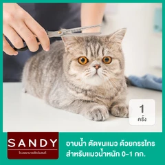 อาบน้ำและตัดขนแมว ด้วยกรรไกร สำหรับแมวน้ำหนัก 0-1 กก. 1 ครั้ง
