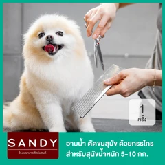 อาบน้ำและตัดขนสุนัข ด้วยกรรไกร สำหรับสุนัขน้ำหนัก 5-10 กก. 1 ครั้ง