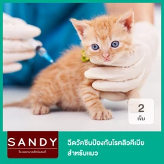 ฉีดวัคซีนป้องกันโรคลิวคีเมีย สำหรับแมว 2 เข็ม