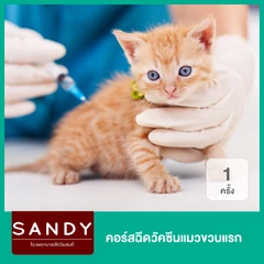 คอร์สฉีดวัคซีนแมวขวบแรก วัคซีนรวมไข้หัด-หวัดแมว 3 ครั้ง วัคซีนพิษสุนัขบ้า 2 ครั้ง และถ่ายพยาธิ 3 ครั้ง