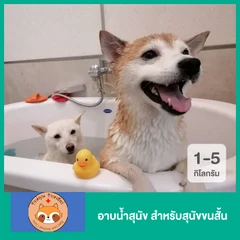 อาบน้ำสุนัข สำหรับสุนัขขนสั้น น้ำหนักไม่เกิน 1-5 กก.