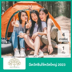 ฉีดวัคซีนป้องกันไข้หวัดใหญ่ 2024/2025 4 สายพันธุ์ 1 เข็ม