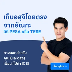 เก็บอสุจิโดยตรงจากอัณฑะ (PESA) / การตัดชิ้นเนื้อเพื่อเก็บอสุจิ (TESE)