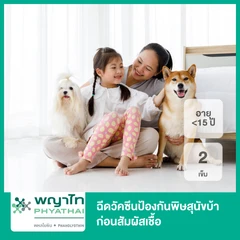 ฉีดวัคซีนป้องกันพิษสุนัขบ้า ก่อนสัมผัสเชื้อ 2 เข็ม สำหรับเด็กอายุน้อยกว่า 15 ปี