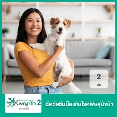 ฉีดวัคซีนป้องกันโรคพิษสุนัขบ้า 2 เข็ม