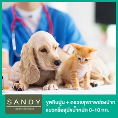 ขูดหินปูน + ตรวจสุขภาพช่องปาก แมวหรือสุนัขน้ำหนัก 0-10 กก. โดยสัตวแพทย์ผู้มีประสบการณ์ด้านช่องปาก