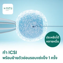 ทำ ICSI พร้อมย้ายตัวอ่อนรอบแช่แข็ง 1 ครั้ง