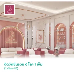 ฉีดวัคซีนรวม 6 โรค 1 เข็ม (2 เดือน-1 ปี)